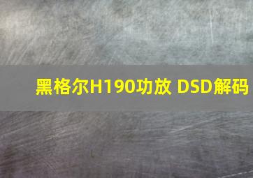 黑格尔H190功放 DSD解码